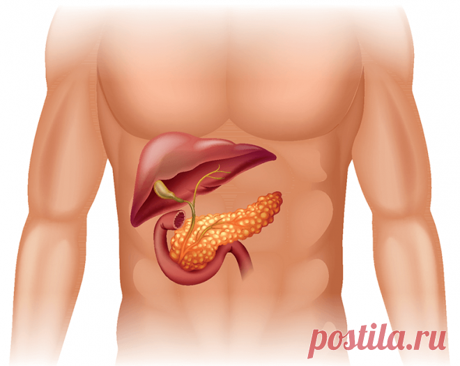 ЛИПОМАТОЗ поджелудочной железы