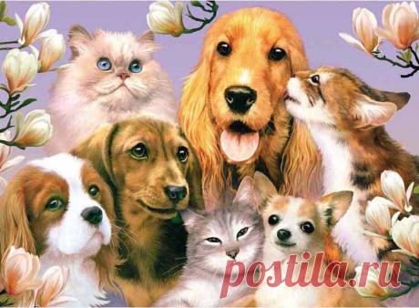 Одноклассники