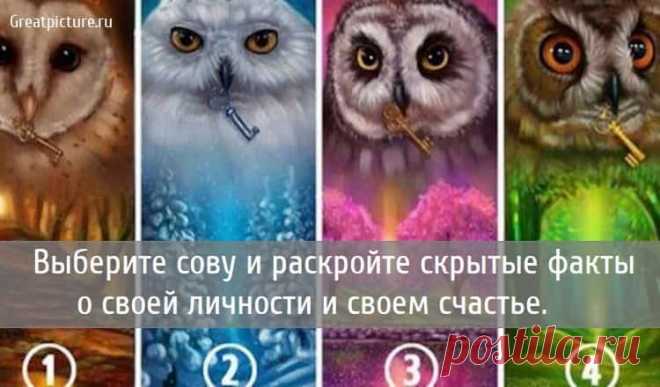 Выберите сову и раскройте скрытые факты о своей личности Выберите сову и раскройте скрытые факты о своей личности и своем счастье. Совы, которые мы показываем на картинке, могут иметь скрытое