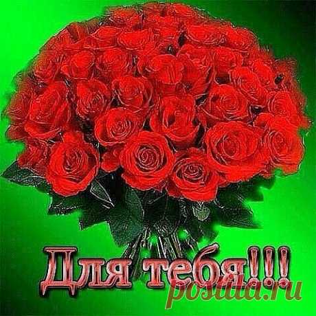 image (480×480)