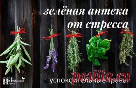 Зеленая аптека от стресса. Успокоительные травы 


Что делать, если наш организм немного «расстроился»? В нашей жизни все непросто ведь. Причем, не справляются с нагрузками не только взрослые, но и наши дети. Я все удивляюсь, когда разговариваю с м…