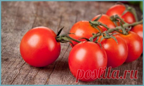 Как вырастить вкусные помидоры в открытом грунте