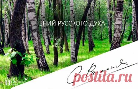 Ирина Зайцева - Google+