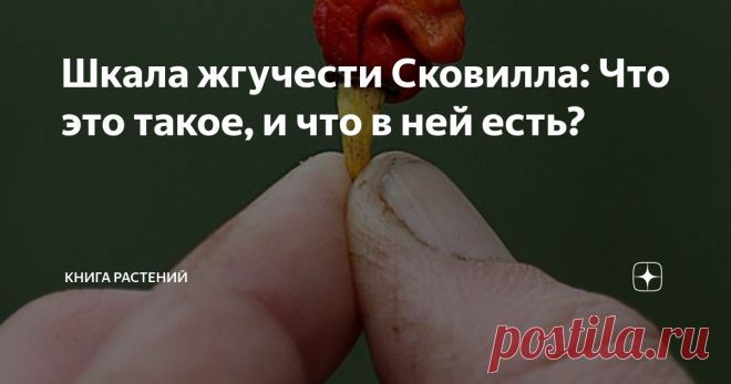 Шкала жгучести Сковилла: Что это такое, и что в ней есть? Всем однажды в жизни приходилось попробовать остренького. Однако, кому вообще пришло в голову есть перец? Оказывается, ещё индейцы додумались использовать перец чили (в переводе с ацтекского - красный) в священном напитке какаоатль. Индейцы верили, что эта горячая штучка была даром бога Солнца. Странные, конечно, были понятия, но ещё страннее, что любовь к острому прошла через тысячелетия, и в 1912 году американский...