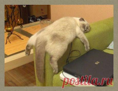 Работать вообще не прет...