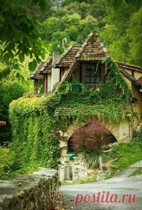 i (484×715)