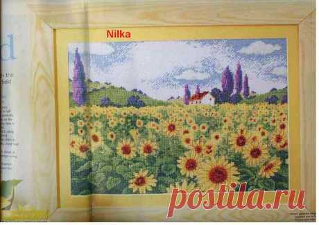 цитата valia_by : В/К. ПОЛЕ ПОДСОЛНУХОВ (18:03 09-12-2015) [4426181/379002073] - irina-lena@inbox.ru - Почта Mail.Ru