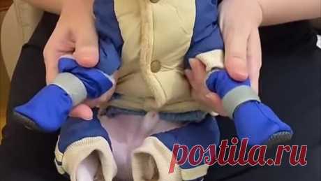 Сапожки👍