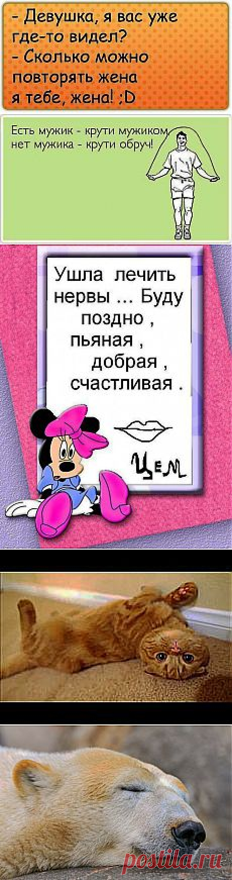 ▶ Смешные КОШКИ. ТВ - YouTube и другие популярные материалы на Постила.ru - lysenko_oksana1@mail.ru - Почта Mail.Ru