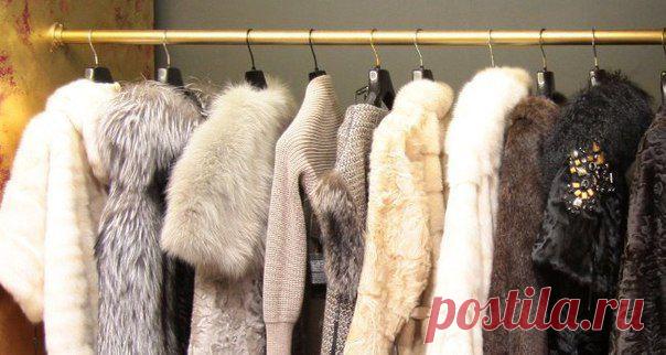 УХОД ЗА МЕХОМ В ДОМАШНИХ УСЛОВИЯХ. | Хитрости Жизни