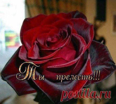 (1) Одноклассники