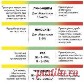 О чем расскажет анализ крови