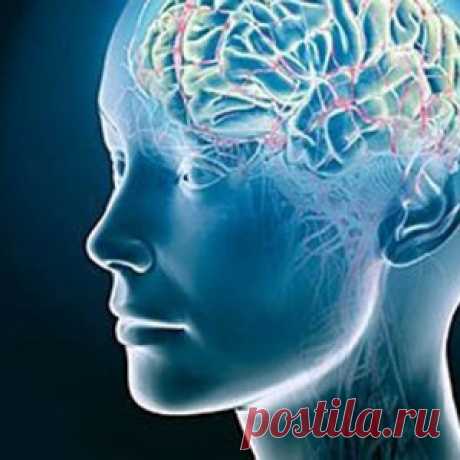 Что ускоряет гибель нервных клеток и ведет к потере памяти, выяснили ученые из России