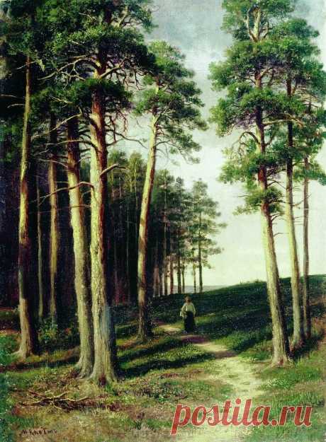 Художник Михаил Константинович Клодт фон Юргенсбург (1832-1902).
"Сосновый лес".