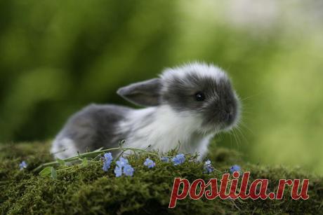 Мой Мир@Mail.Ru