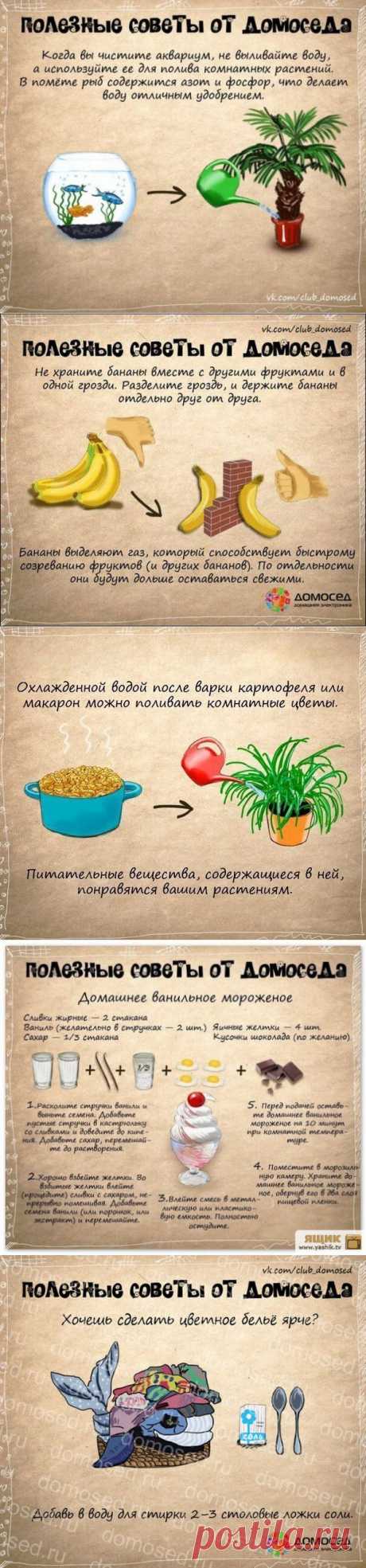 Полезные советы от Домоседа | Ваш Дом