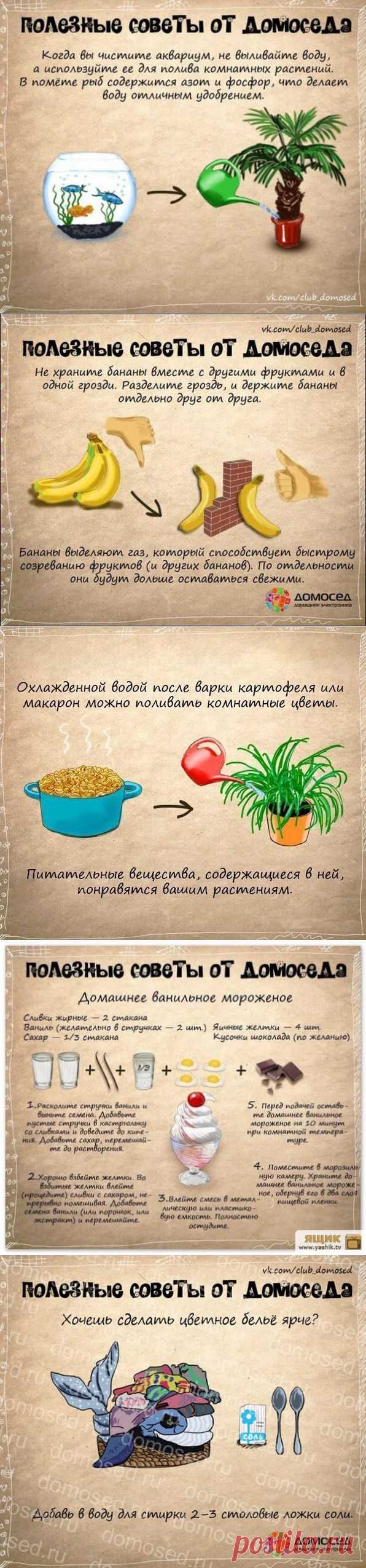 Полезные советы от Домоседа | Ваш Дом