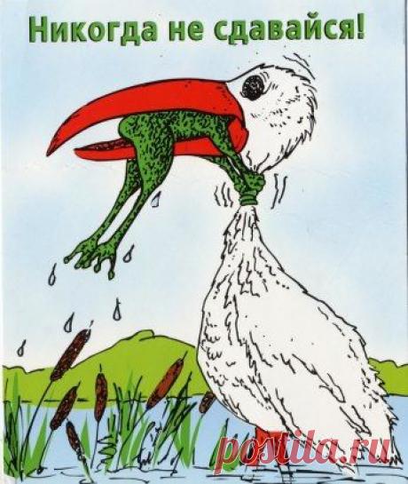 (37) Одноклассники