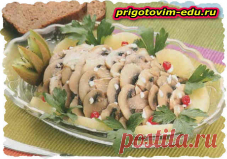 Салат из курицы с грибами 🥣. Кулинарные рецепты с фото и видео