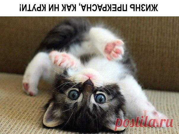 Мой Мир@Mail.Ru