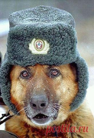 Вам и не снилось...
W G