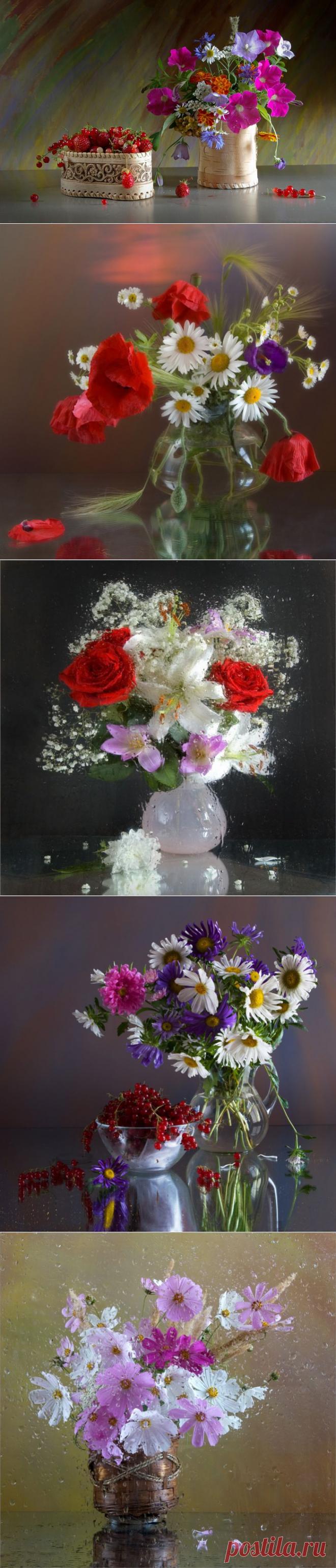 Работы фотографа Дмитрия Мелентьева