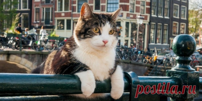 (+6) 13 документальных фильмов для прокачки мозга : Шоу-бизнес : Стиль жизни : Subscribe.Ru