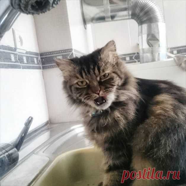 Сам ты "мимими"