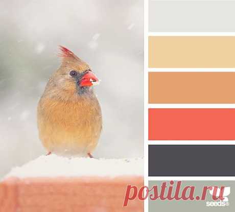 Design Seeds® | find your palette