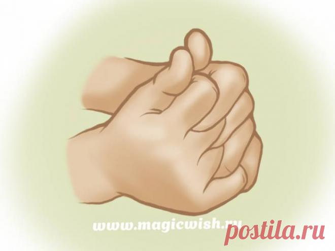 Мудра Морской гребешок от анорексии и болезненной худобы