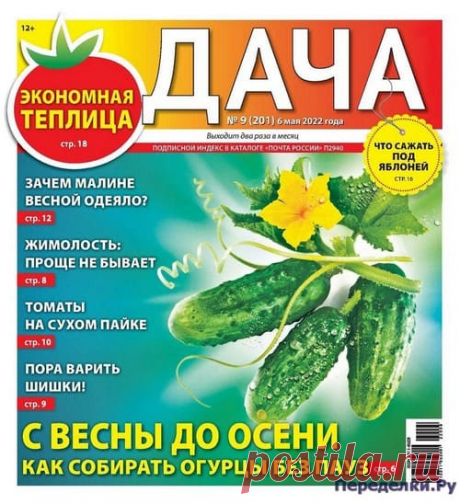 Дача №9 2022 - Переделки.РуПеределки.Ру