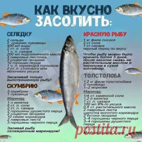 полезнее шпаргалки вы не найдете!