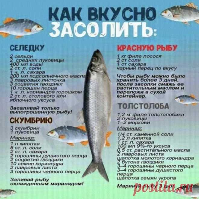 полезнее шпаргалки вы не найдете!
