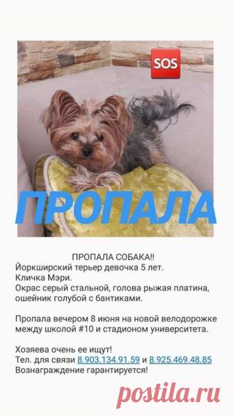 Социальный репост Соцрепост.РФ #соцрепост