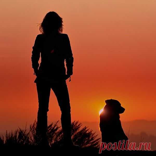 Нельзя сначала убивать, потом шептать: я не нарочно.
Нельзя все время предавать, потом молить: исправлюсь — точно. 

Нельзя сначала принижать, потом просить: прости за шутку.

Нельзя трусливо убегать, сказав, что вышел на минутку.
Нельзя вернувшись сделать вид — что все как прежде остается.
Ведь жизнь на месте не стоит. За все…всегда… платить придется…