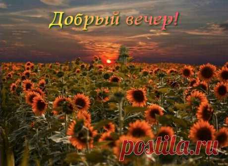 Добрый вечер!