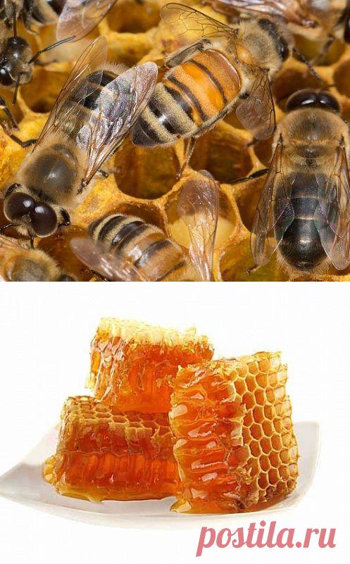 Мёд как лекарство / Научный хит