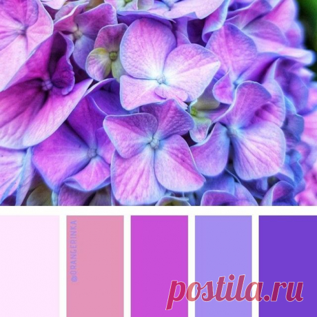 Photo by Ирина Соколова on May 22, 2021. May be an image of flower and indoor.