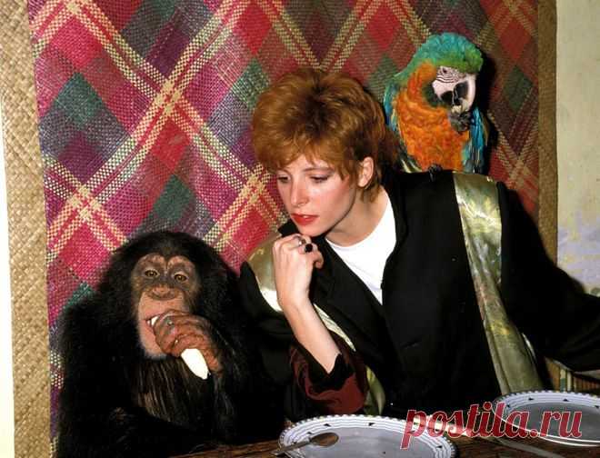 11 интересных фактов о Милен Фармер