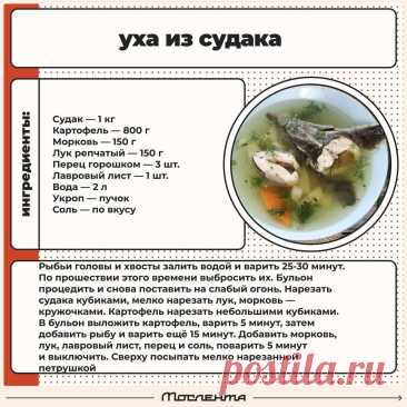 Уха из судака