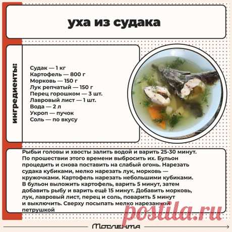 Уха из судака