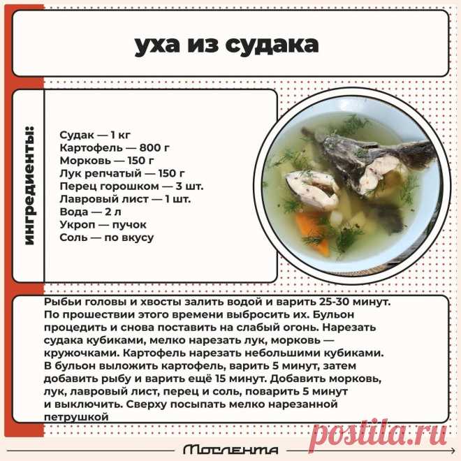 Уха из судака