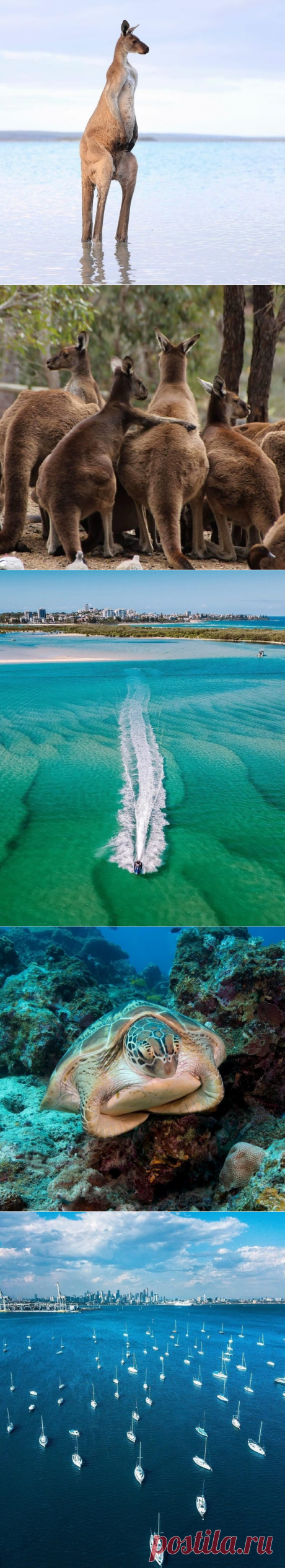 Другая планета? Нет, всего лишь Австралия / Туристический спутник