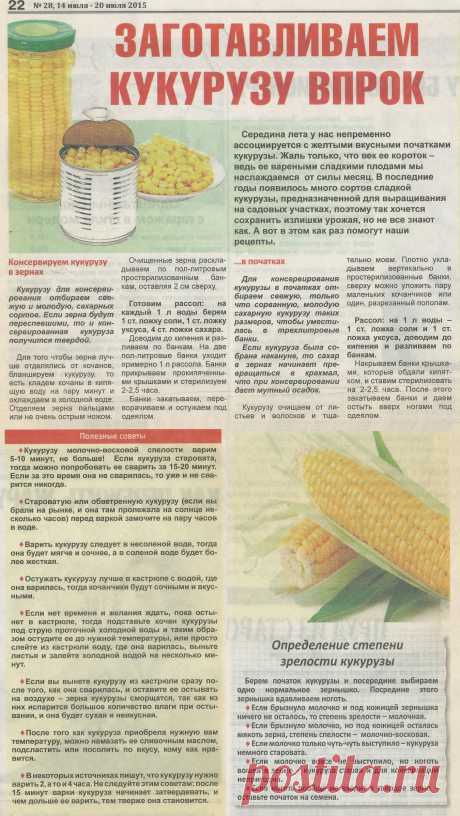 Заготавливаем кукурузу впрок