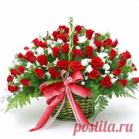 kartinki-rozy-bukety-bolshie-s-dnem-rozhdeniya-5.jpg (500×500)