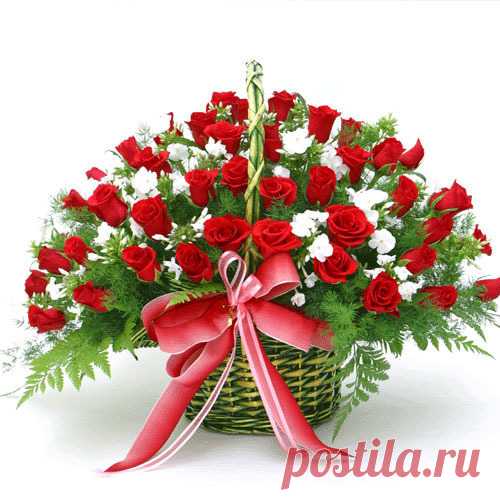 kartinki-rozy-bukety-bolshie-s-dnem-rozhdeniya-5.jpg (500×500)