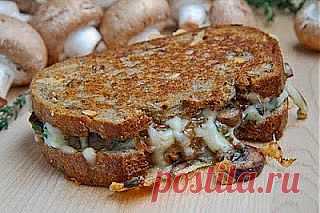 Самые вкусные рецепты: Американский бутерброд-гриль с шампиньонами и сыром