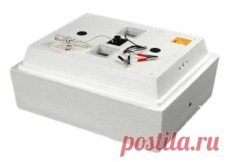 Инкубаторы - купить инкубатор для яиц почтой. Купить инкубатор