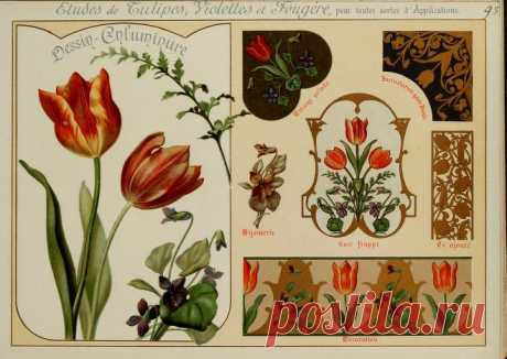 Fleurs d'après nature et fleurs ornementales : études de fleurs et feulliages avec diverses interprétations applicables à l'enluminure et à la décoration : Guillot, Ernest : Free Download, Borrow, and Streaming : Internet Archive