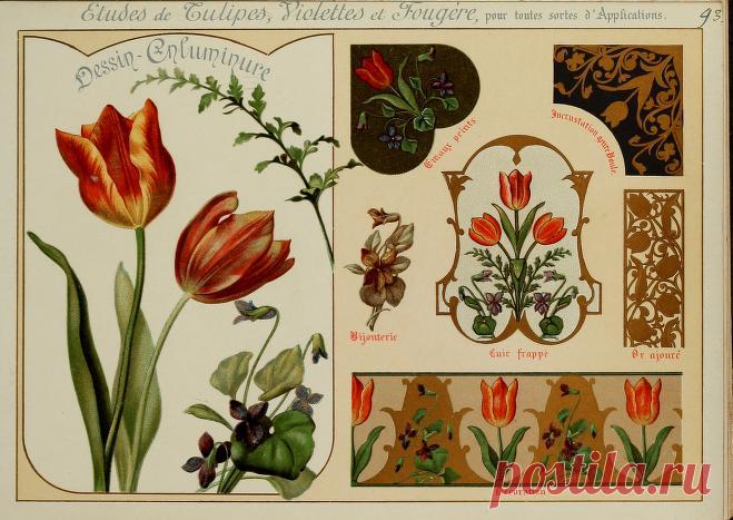 Fleurs d'après nature et fleurs ornementales : études de fleurs et feulliages avec diverses interprétations applicables à l'enluminure et à la décoration : Guillot, Ernest : Free Download, Borrow, and Streaming : Internet Archive